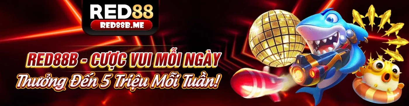 Đánh giá tác động bảo vệ dữ liệu (DPIA) đang được thực hiện tại vt999 chính thức