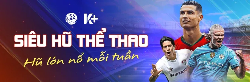 Người đang phân tích dữ liệu và chiến lược cá cược thể thao trên máy tính